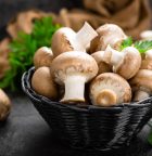 Mushrooms Help Memory