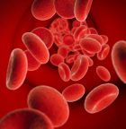 Blood Stream - Blood Vessels